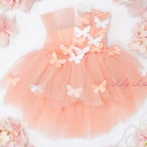 Princess butterfly dress